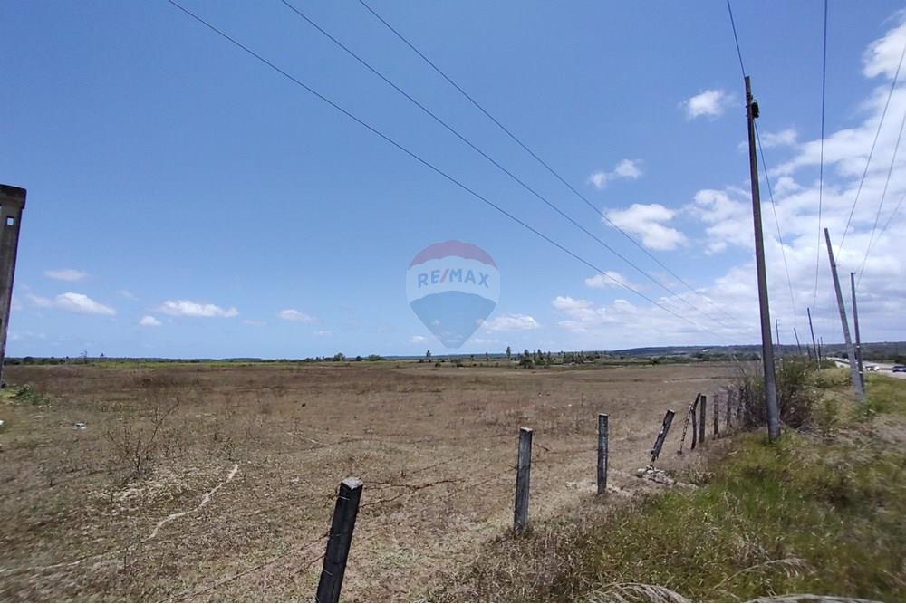 Terreno - Alugar - São José de Mipibu , Rio Grande do Norte - WhatsApp Image 2024-10-07 at 08.39.01 (1).jpeg - 720891134-413