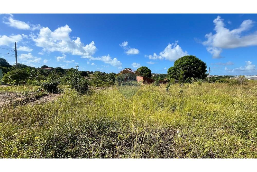 Terreno - Venda - Conde , Paraíba - WhatsApp Image 2025-05-12 at 10.40.40.jpeg - 720871004-197