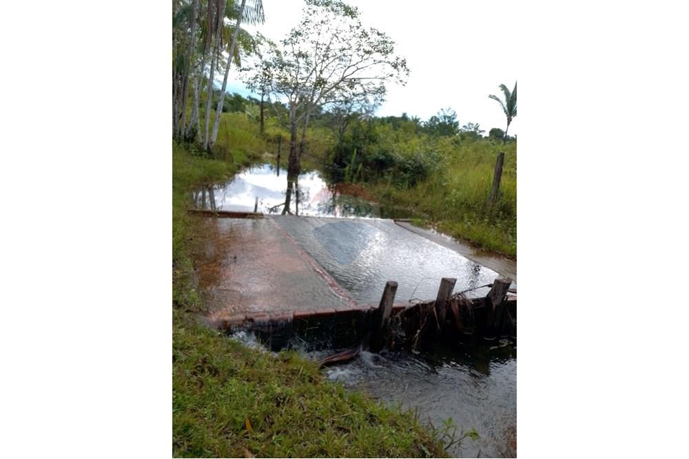 Chácara / Sítio / Fazenda - Venda - Canutama , Amazonas - WhatsApp Image 2025-02-28 at 17.28.19.jpeg - 721551016-61