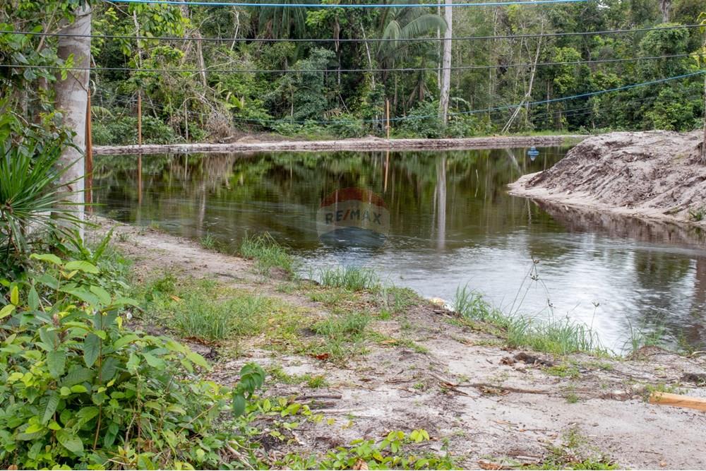 Chácara / Sítio / Fazenda - Venda - Novo Airão , Amazonas - IMG_7516.jpg - 720721055-29