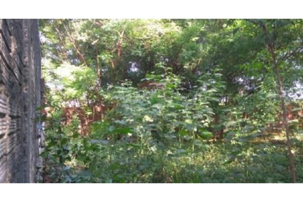 Terreno - Venda - Fortaleza , Ceará - foto3.jpg - 720971021-111