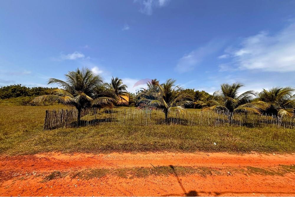 Terreno - Venda - Touros , Rio Grande do Norte - WhatsApp Image 2025-09-23 at 18.39.01.jpeg - 720891024-232