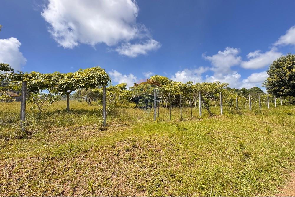 Terreno - Venda - Conde , Paraíba - 06,1.jpg - 720471011-115