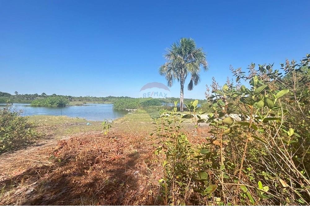 Chácara / Sítio / Fazenda - Venda - Araguaína , Tocantins - WhatsApp Image 2025-08-23 at 10.58.47 (1).jpeg - 720991046-7