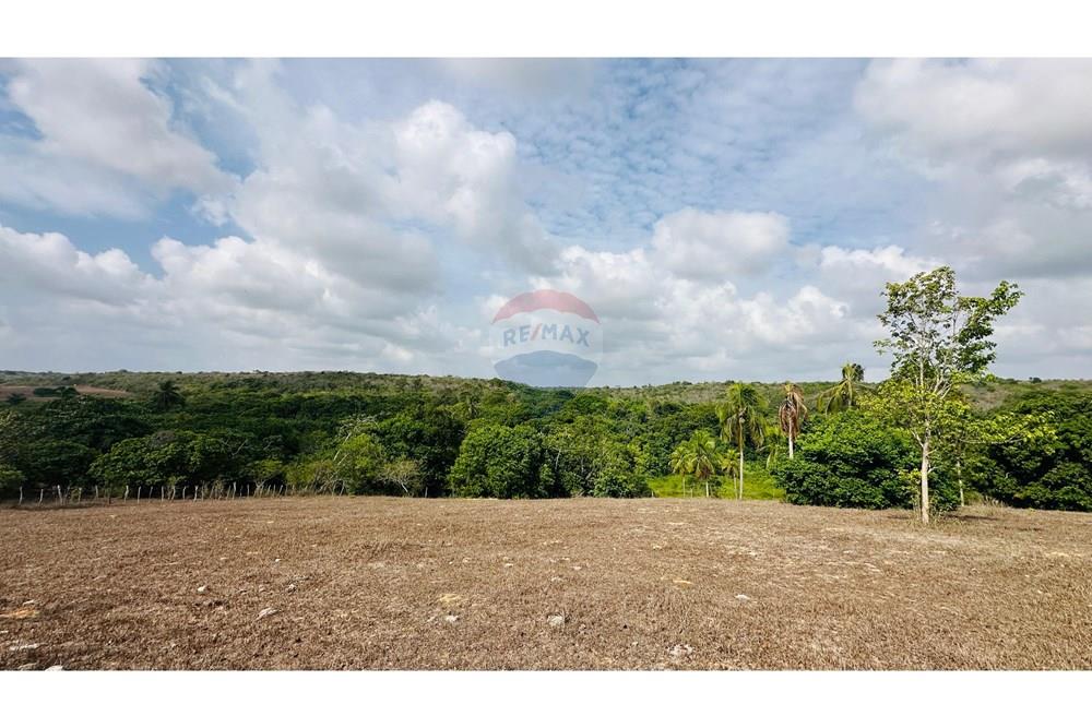 Chácara / Sítio / Fazenda - Venda - São José de Mipibu , Rio Grande do Norte - IMG-20250206-WA0013.jpg - 720811013-67