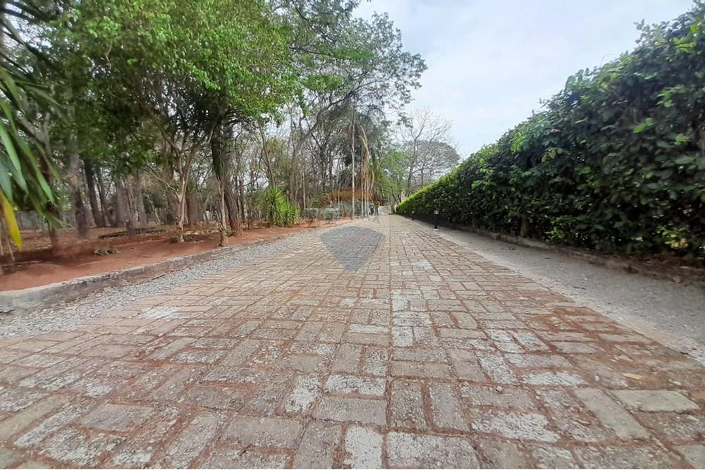 Chácara / Sítio / Fazenda - Venda - Nova Veneza , Goiás - WhatsApp Image 2025-10-08 at 10.28.06 (1).jpeg - 722271015-32