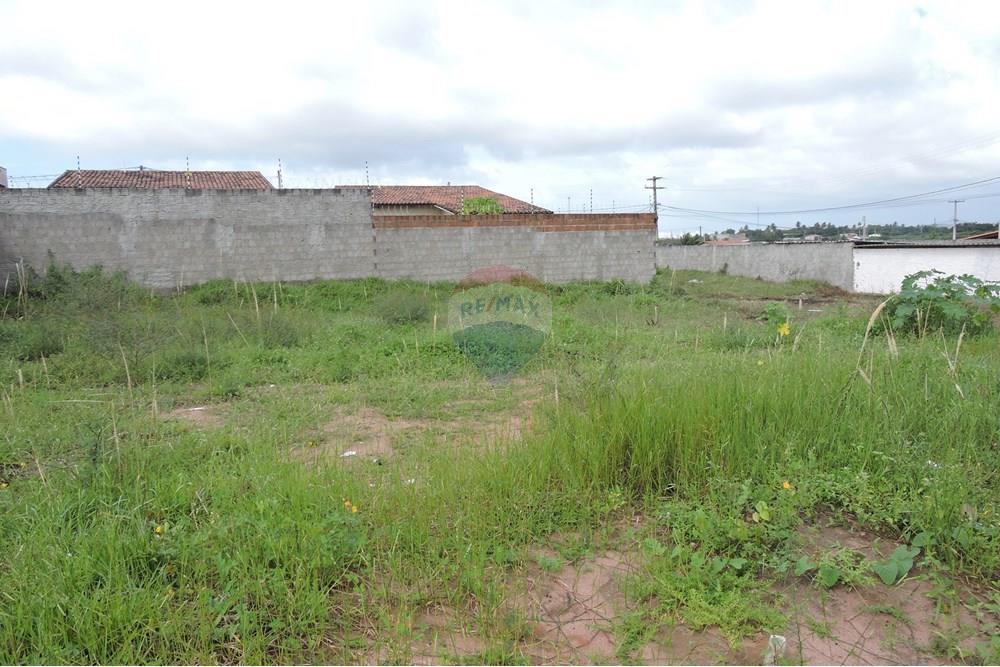 Terreno - Venda - São Gonçalo do Amarante , Rio Grande do Norte - DSCN4897.JPG - 720891150-60