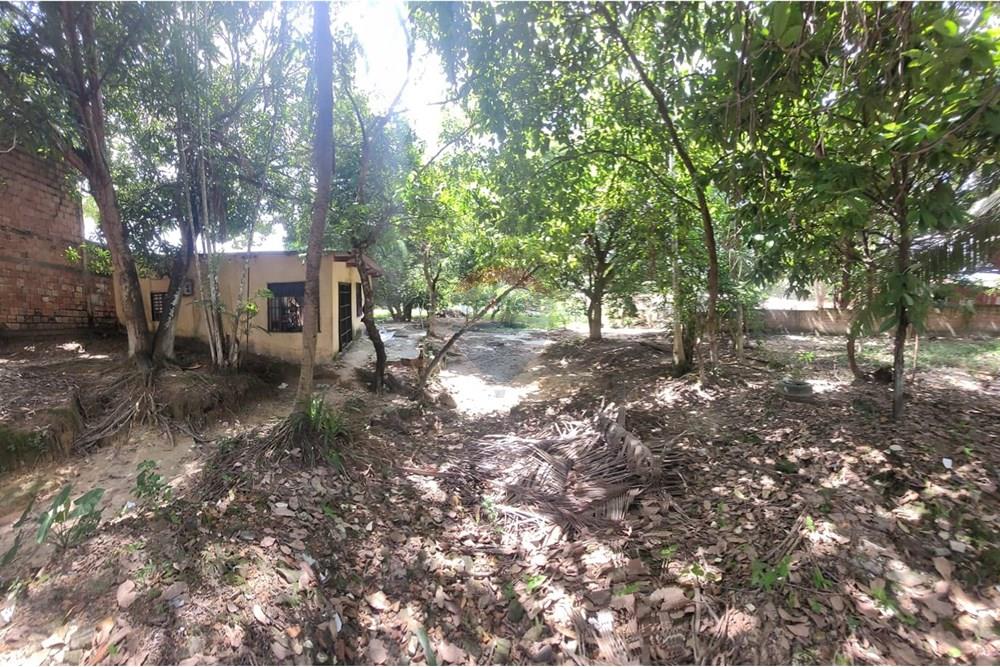Terreno - Venda - Manaus , Amazonas - LAURO.jpg - 722101020-31