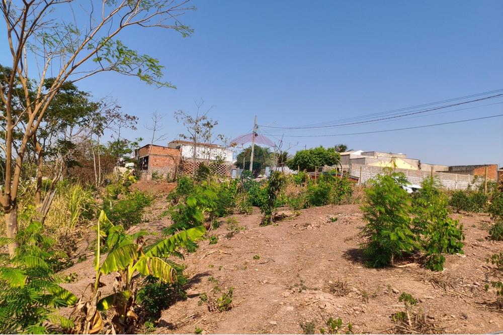 Terreno - Venda - Rondonópolis , Mato Grosso - IMG_20250912_091707.jpg - 722261012-17