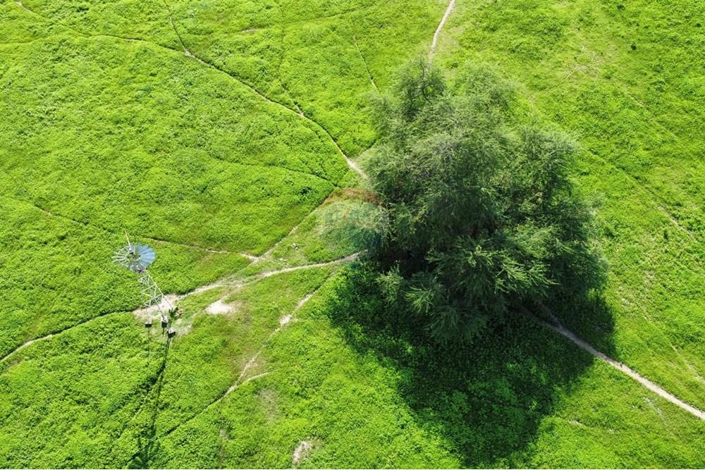 Chácara / Sítio / Fazenda - Venda - Riachão do Bacamarte , Paraíba - dji_fly_20250215_151010_490_1739643058154_photo_optimized.jpg - 722011055-39