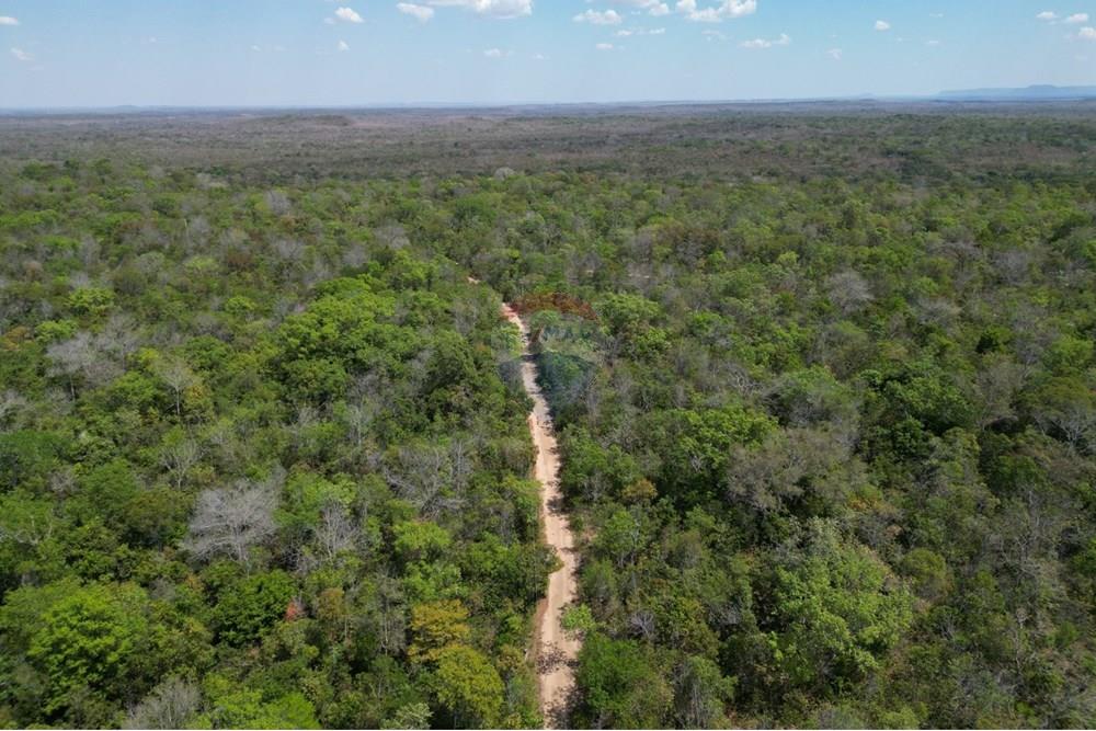 Agro - Venda - Carolina , Maranhão - WhatsApp Image 2025-08-28 at 17.45.08 (2).jpeg - 720991042-3