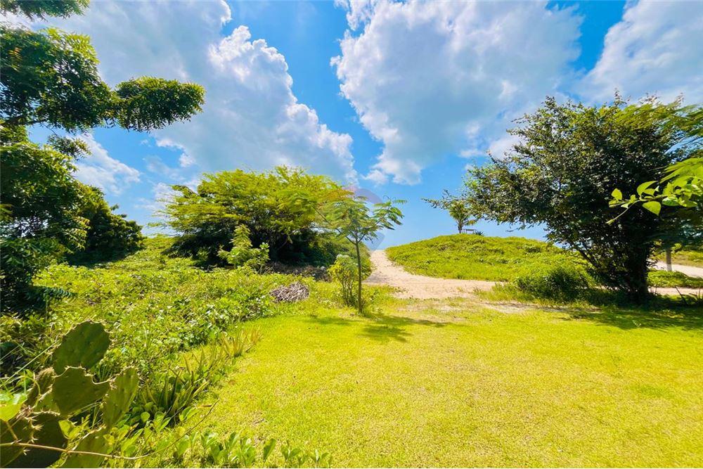 Casa - Venda - São Miguel do Gostoso , Rio Grande do Norte - 47 - 720891024-172