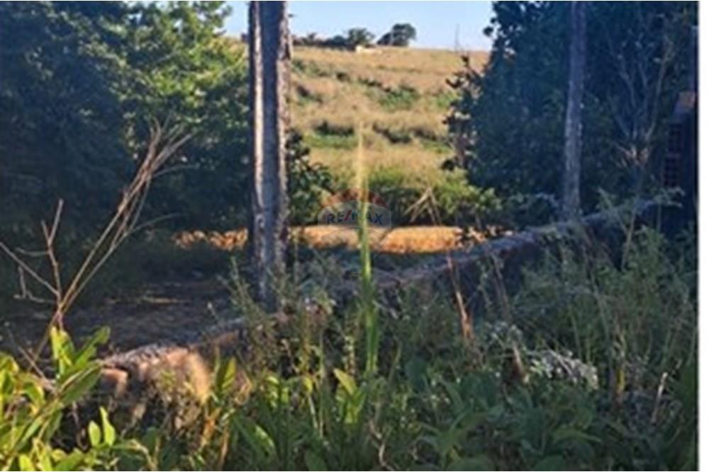 Terreno - Venda - Pitimbu , Paraíba - e1ff8ff2-b593-4e38-ad43-ca1c530ee826.jpeg - 720871044-83