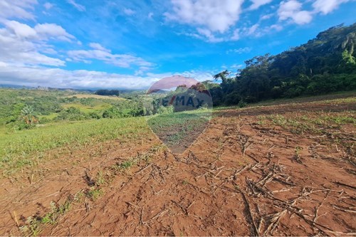 Venda-Fazenda-Rua Doutor Mata , 10  - Centro , Cajuru , São Paulo , 14240000-780171030-57