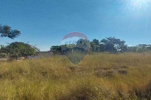 Terreno - Venda - Restinga , São Paulo - IMG-20240626-WA0036.jpg - 780231022-12