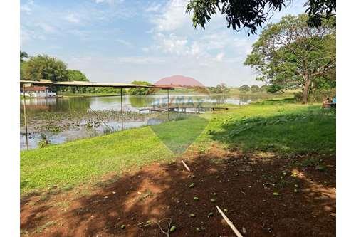Venda-Chácara / Sítio / Fazenda-Estrada de Ferro Fepasa , MP2  - sitio Lago Comprida  - Baixada , São Joaquim da Barra , São Paulo , 1460000-780111001-136