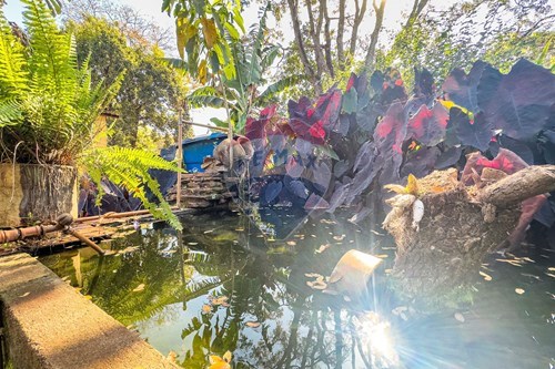 Slider Image Thumbnail