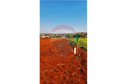 Venda-Terreno-rua jacinto monteiro , 0  - Quadra 14 Lote 4  - Centro , Dumont , São Paulo , 14120000-780181011-271