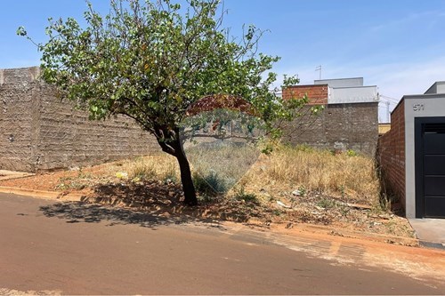 Venda-Terreno-Jardim Tavares , São Joaquim da Barra , São Paulo , 14600000-780301005-4