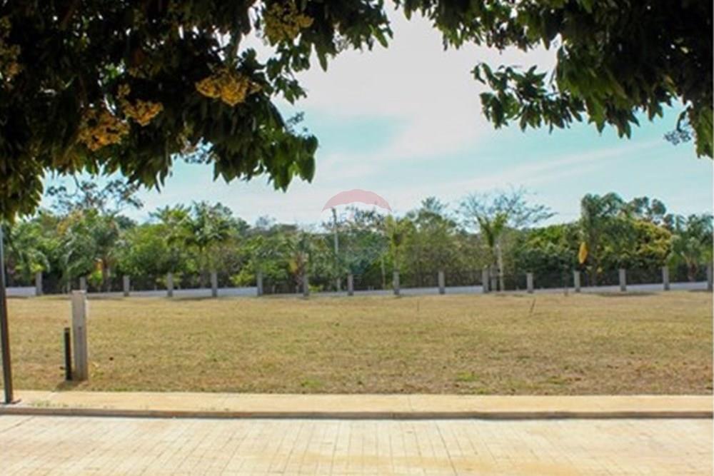 Terreno - Venda - Monte Alto , São Paulo - LOTE 5.jpg - 780201068-7