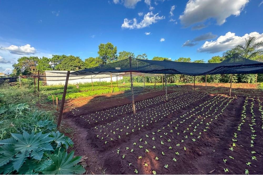 Terreno - Venda - Ribeirão Preto , São Paulo - 12.jpg - 780241010-16