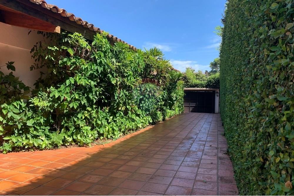 Casa Comercial - Alugar - Ribeirão Preto , São Paulo - WhatsApp Image 2025-03-17 at 11.11.06.jpeg - 780171048-34