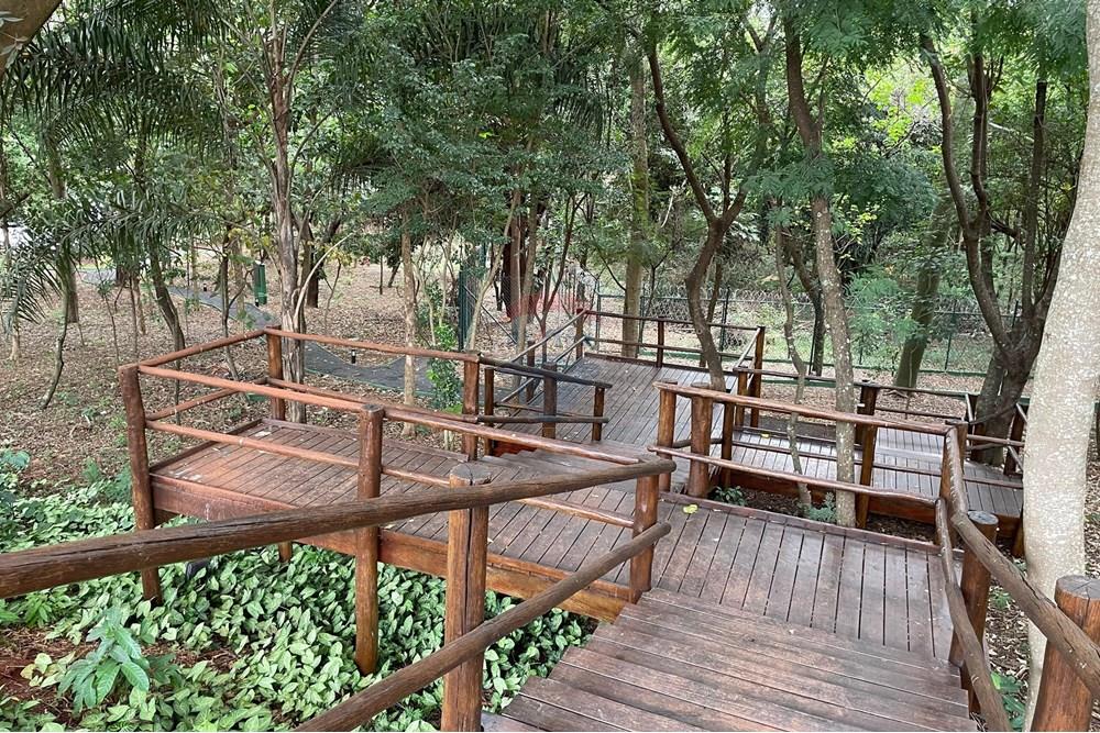 Terreno - Venda - Ribeirão Preto , São Paulo - Escada Lago.jpg - 780131037-16