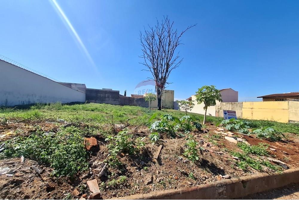 Terreno - Venda - Ribeirão Preto , São Paulo - terreno5.jpeg - 780171002-51