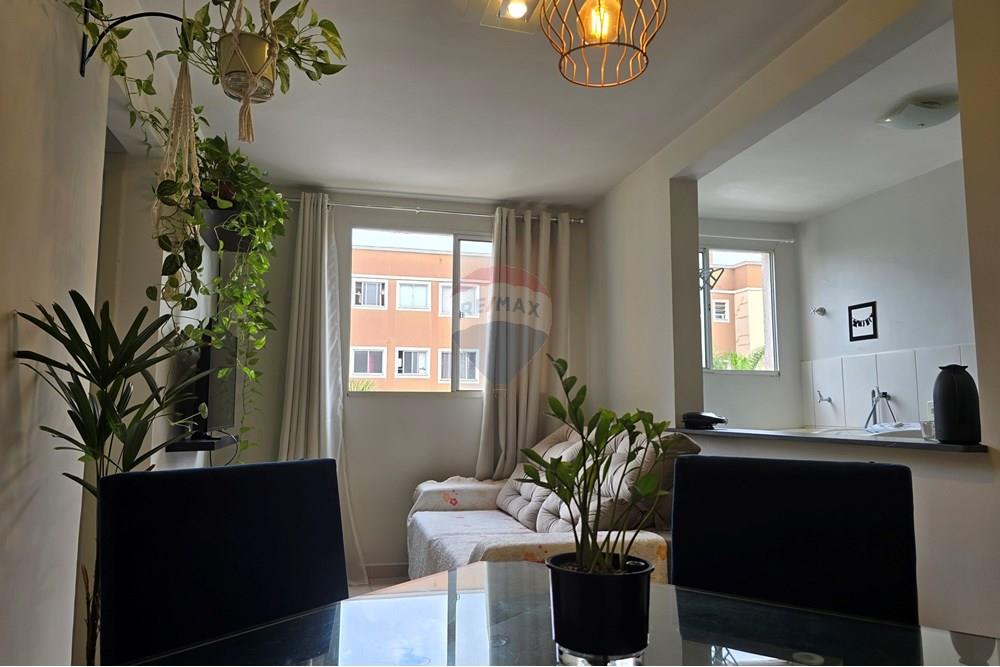 Apartamento - Alugar - Ribeirão Preto , São Paulo - 20250104_112159.jpg - 780171048-85