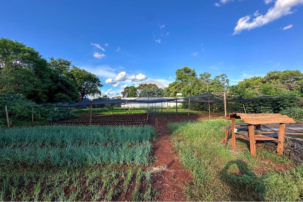 Terreno - Venda - Ribeirão Preto , São Paulo - 16.jpg - 780241010-16