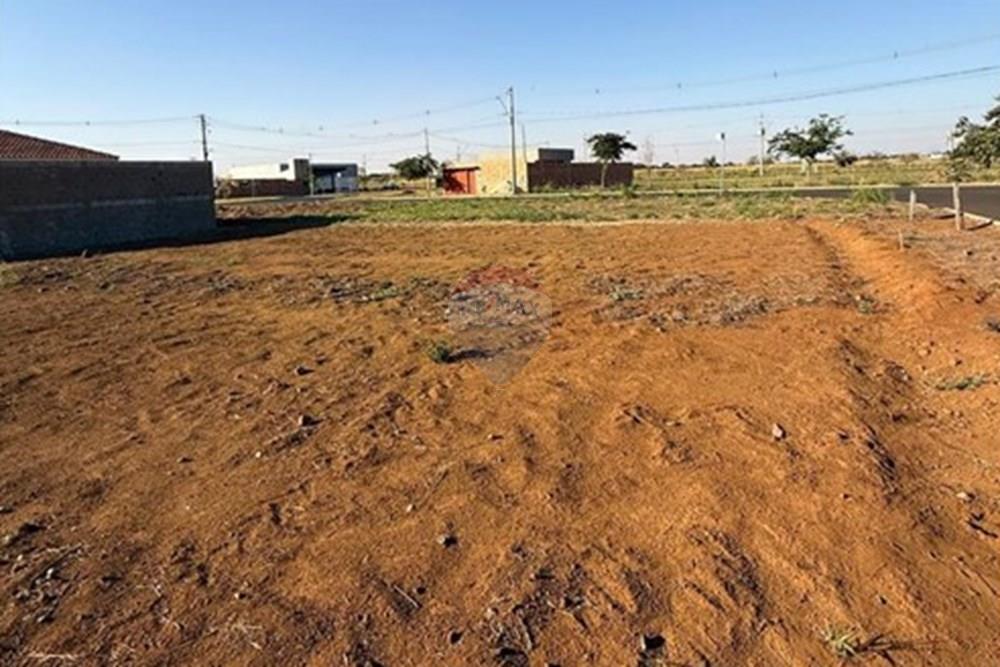 Terreno - Venda - Sertãozinho , São Paulo - IMG-20250813-WA0516.jpg - 780191023-3