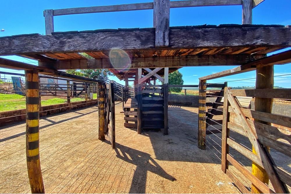 Chácara / Sítio / Fazenda - Venda - Brodowski , São Paulo - nova 13 .jpg - 780131009-119