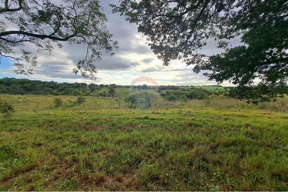 Fazenda - Venda - Cajuru , São Paulo - IMG-20250406-WA0113.jpg - 780171030-57