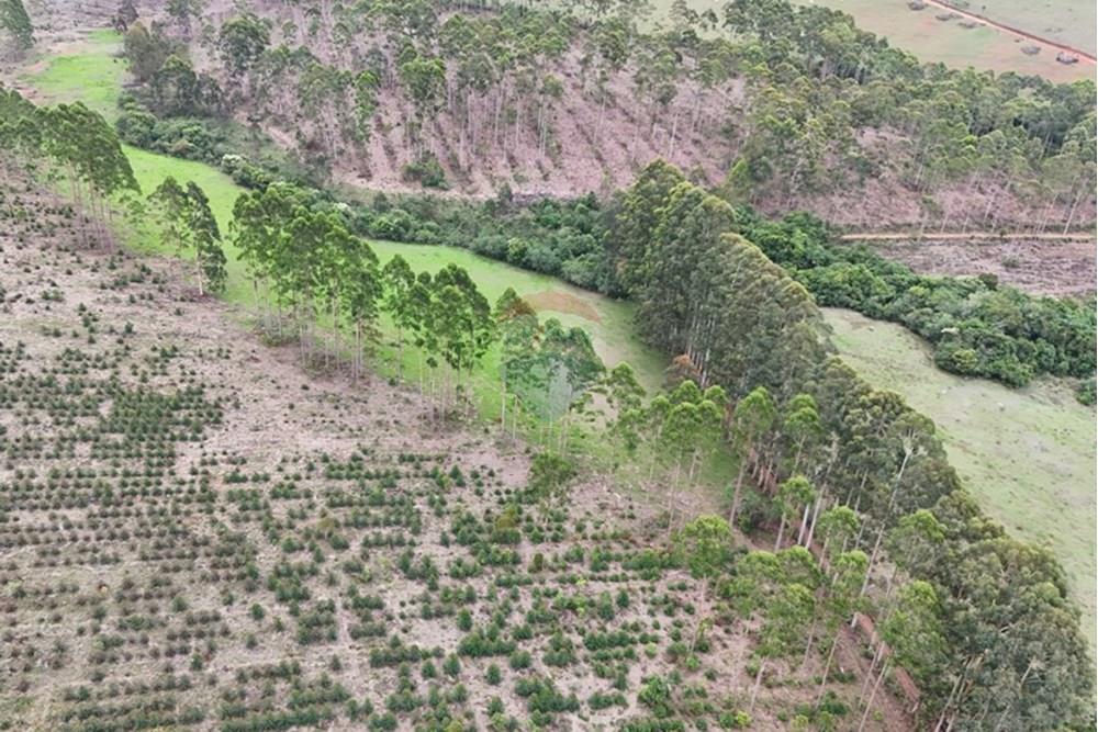 Chácara / Sítio / Fazenda - Venda - Aiuruoca , Minas Gerais - DJI_20241113155334_0320_D.JPG - 780251035-5