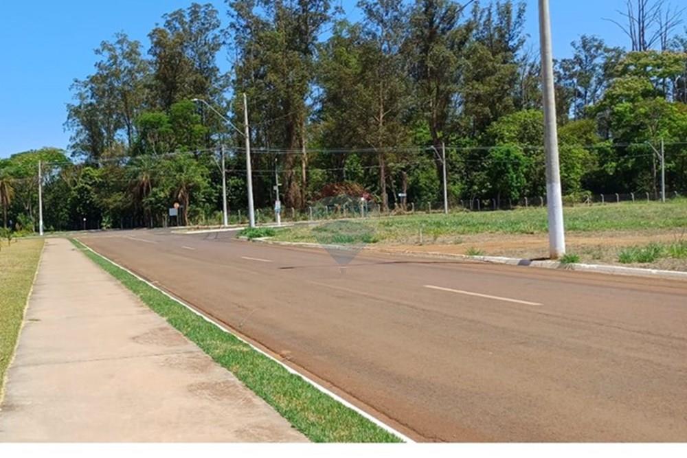 Terreno - Venda - Sertãozinho , São Paulo - IMG-20250926-WA0011.jpg - 780191023-14