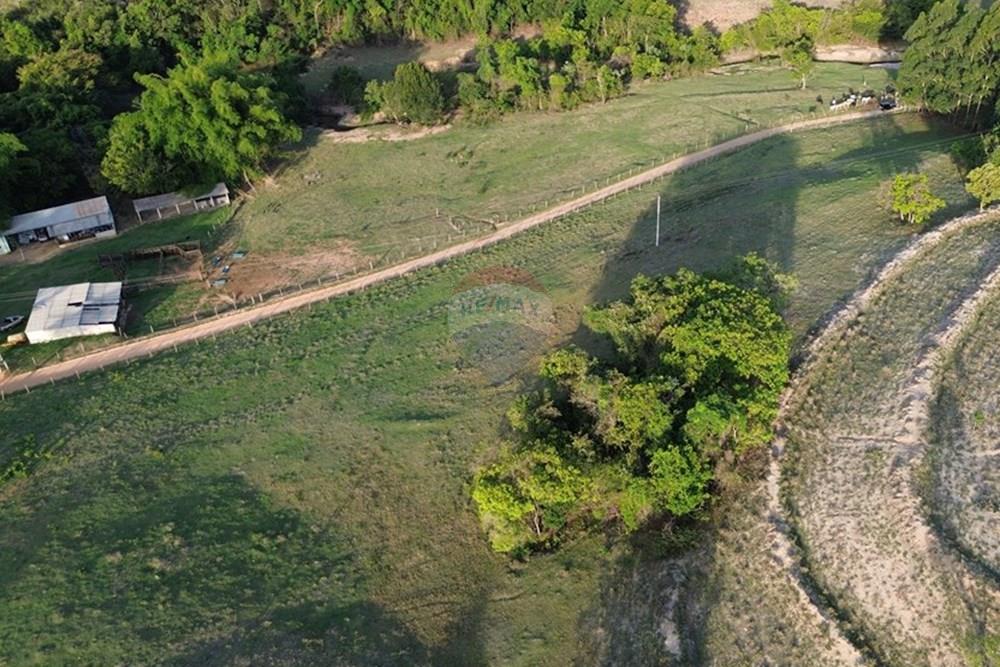 Chácara / Sítio / Fazenda - Venda - Santo Antônio da Alegria , São Paulo - DJI_0392.JPG - 780171030-68