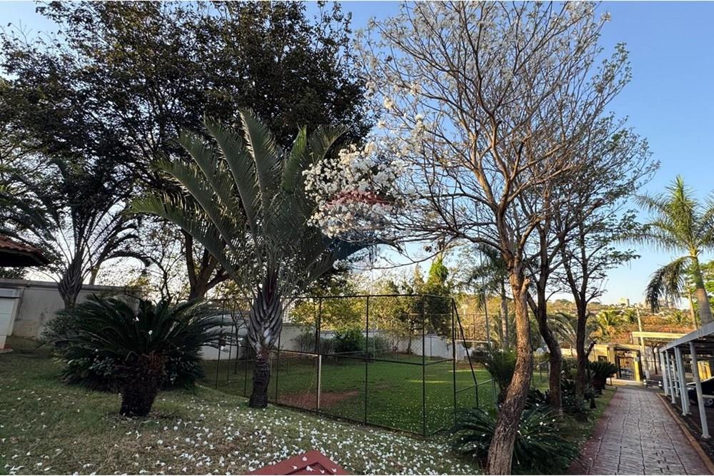 Apartamento - Alugar - Ribeirão Preto , São Paulo - be87ae5d-97d6-4b88-a7c9-991103668431.jpg - 780071015-385