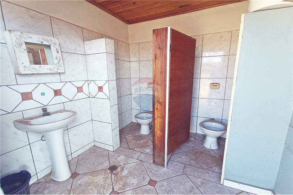 Galpão - Venda - Ribeirão Preto , São Paulo - 18 - 780181012-337