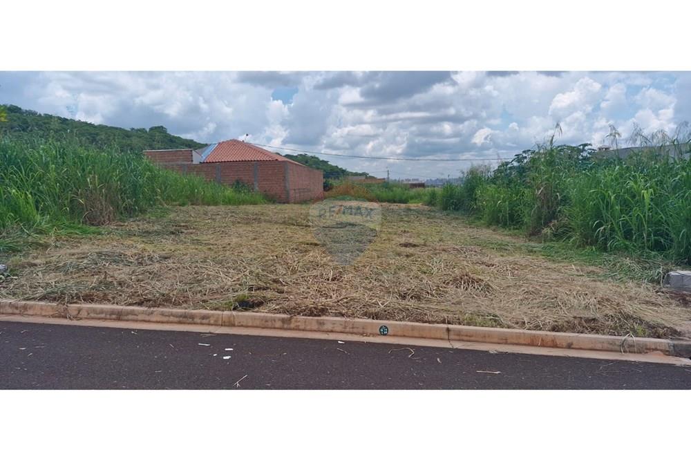 Terreno - Venda - Ribeirão Preto , São Paulo - WhatsApp Image 2025-01-13 at 18.45.46 (2).jpeg - 780181011-259