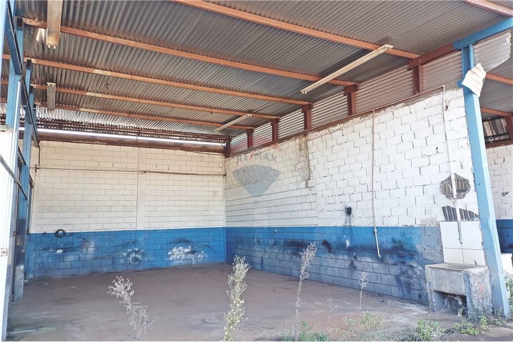 Galpão - Venda - Ribeirão Preto , São Paulo - 31 - 780181012-337