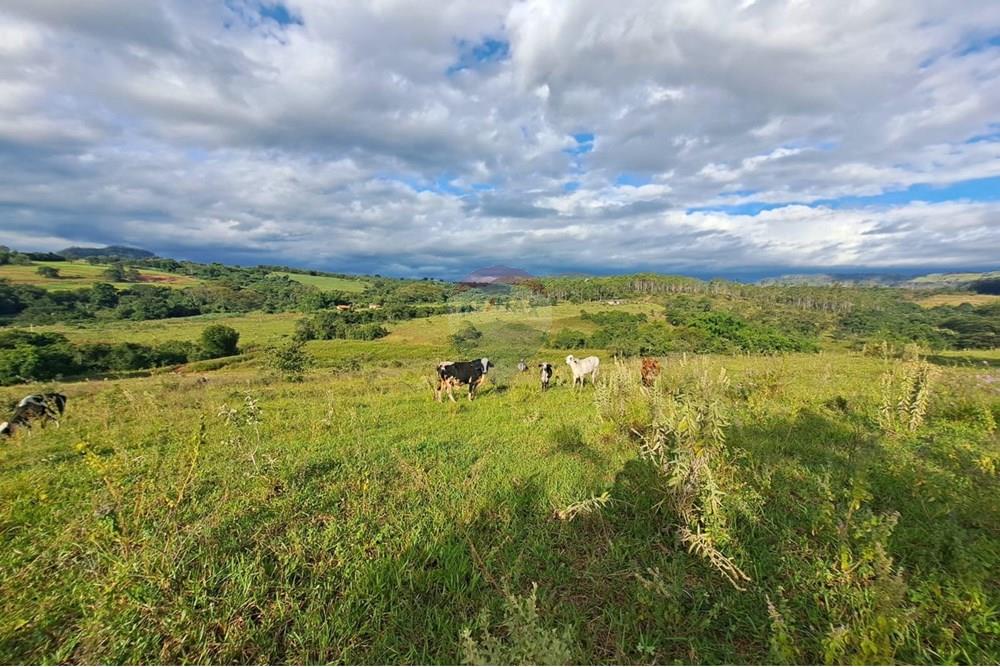 Chácara / Sítio / Fazenda - Venda - Cajuru , São Paulo - IMG-20250406-WA0172.jpg - 780171030-59