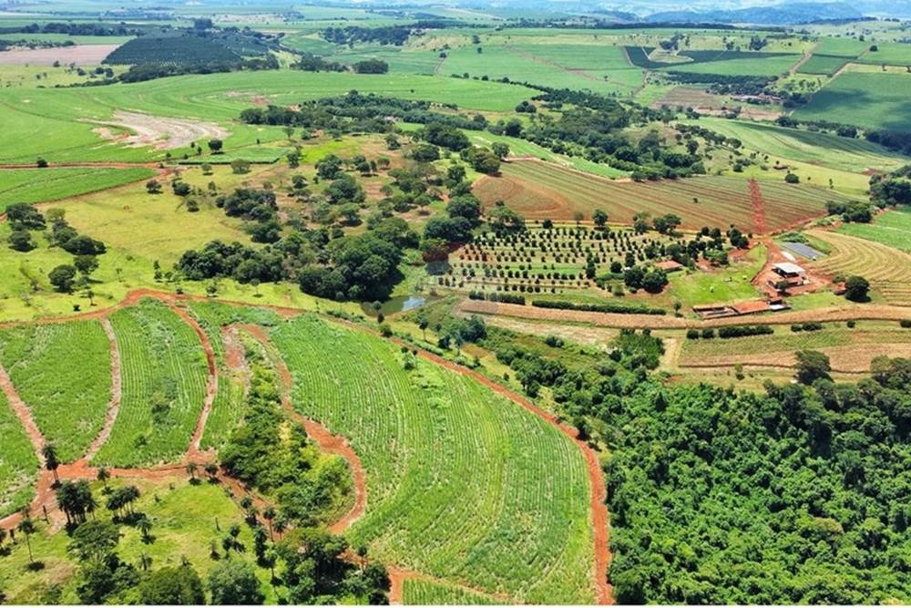 Chácara / Sítio / Fazenda - Venda - Brodowski , São Paulo - IMG-20250313-WA0072.jpg - 780131009-119