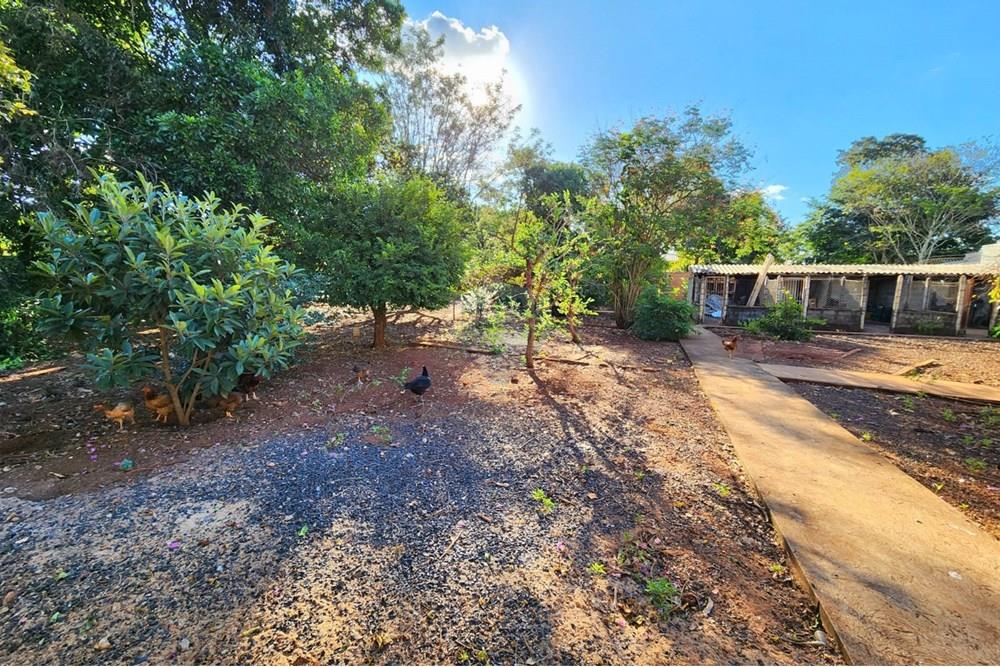 Chácara / Sítio / Fazenda - Venda - Ribeirão Preto , São Paulo - WhatsApp Image 2025-06-27 at 10.59.01 (2).jpeg - Pátio interno - 780091032-138