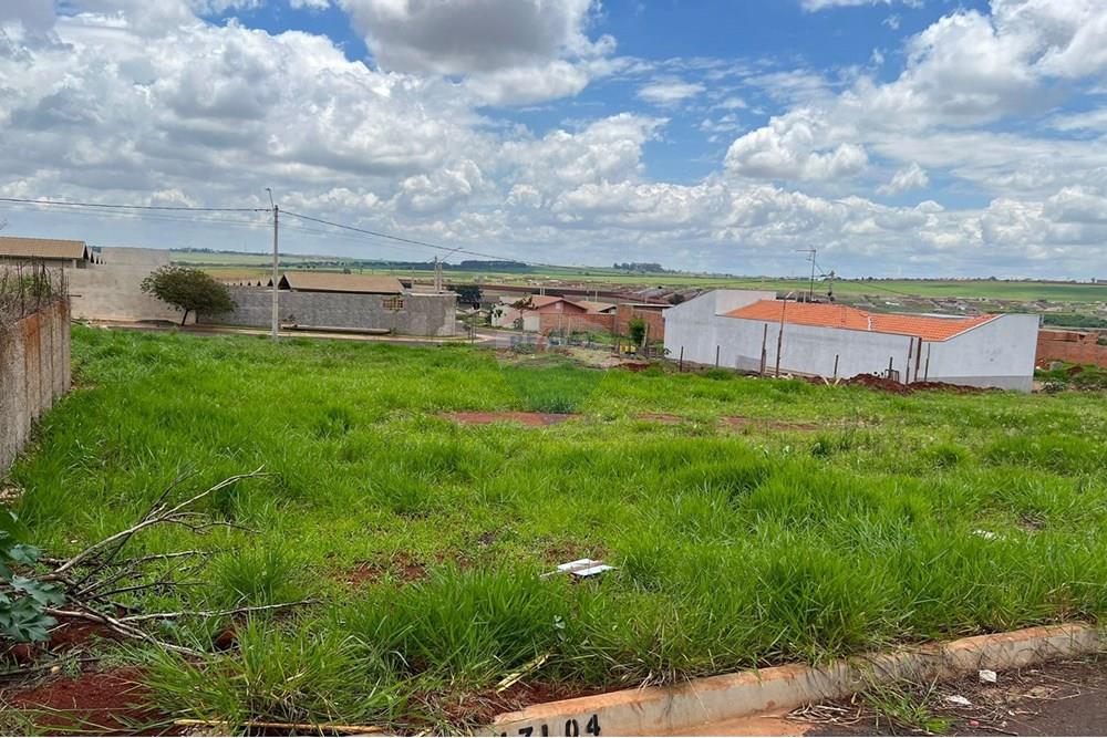 Terreno - Venda - Cravinhos , São Paulo - Terras de Carvinhos - Terreno 7.jpeg - 780271023-5