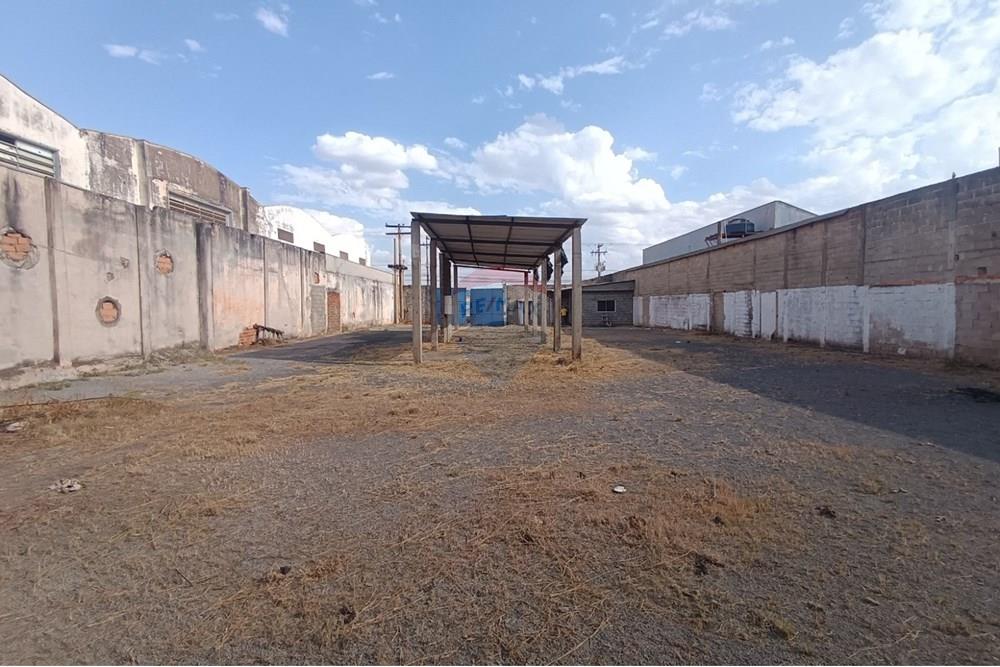 Outros - Alugar - Ribeirão Preto , São Paulo - IMG-20250812-WA0042.jpg - 780181012-754