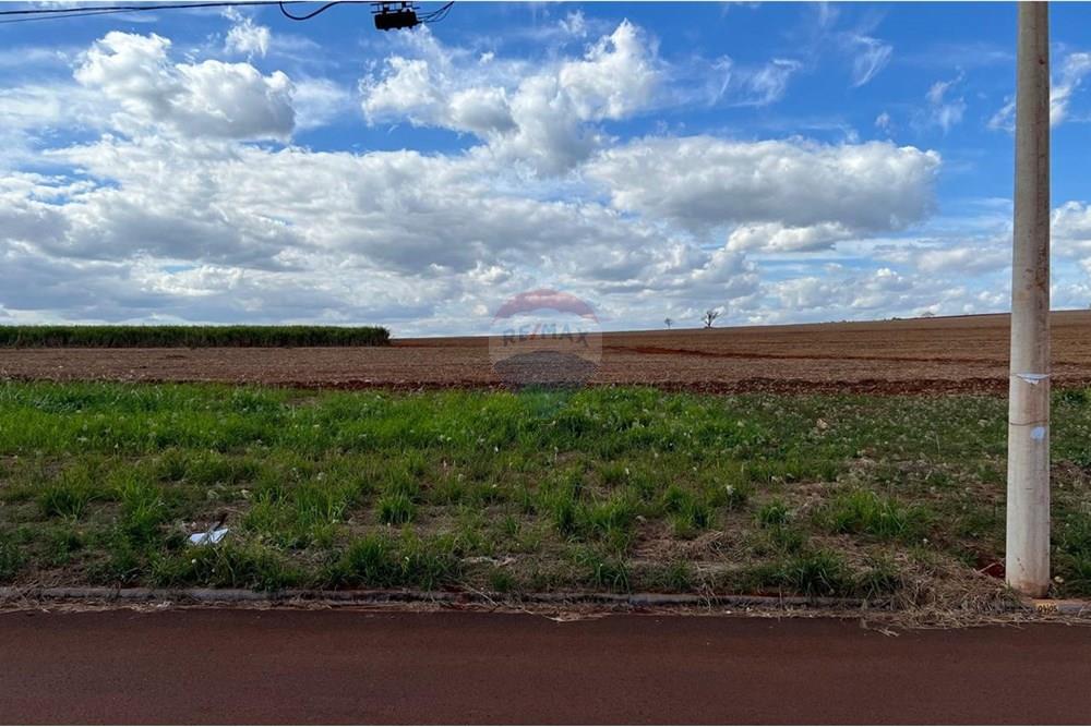 Terreno - Venda - Cravinhos , São Paulo - LOTE 04 - 08.jpeg - 780271023-18