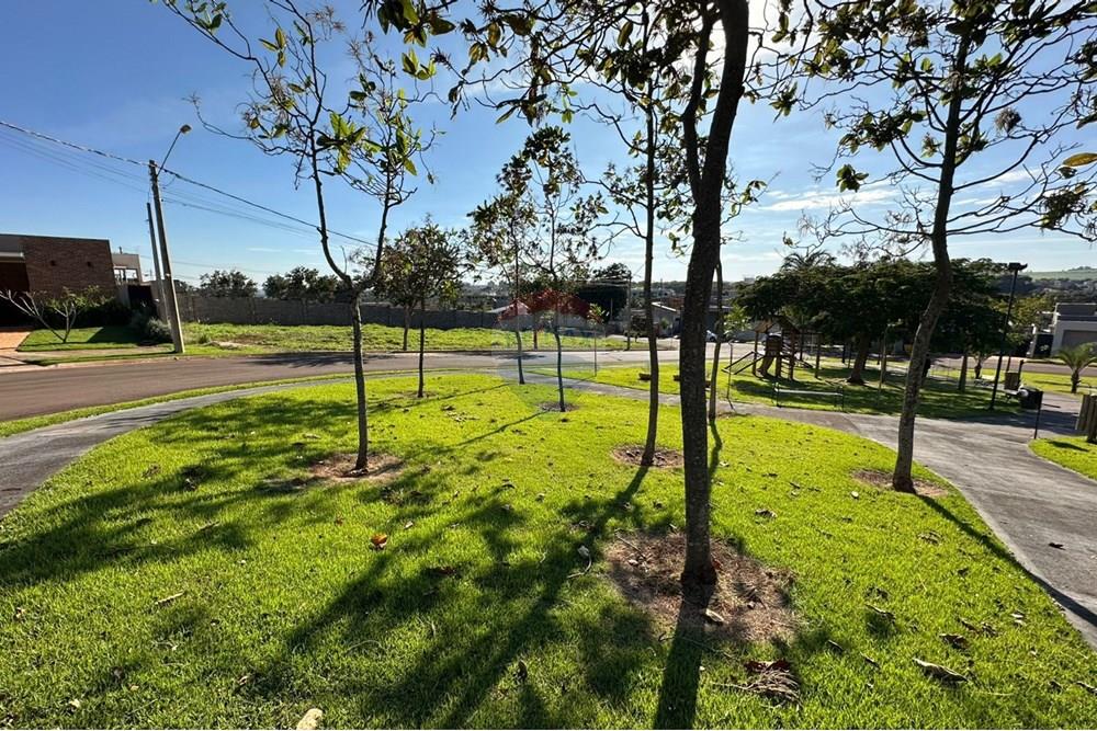 Terreno - Venda - Ribeirão Preto , São Paulo - 11.jpeg - 780211052-21