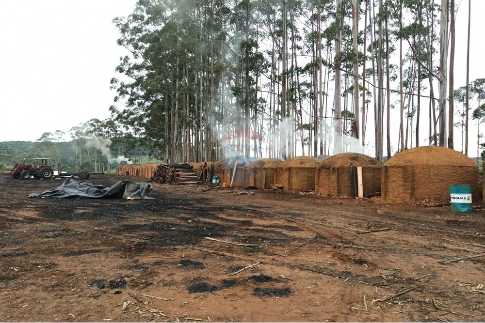 Chácara / Sítio / Fazenda - Venda - Aiuruoca , Minas Gerais - IMG_20241113_160004.jpg - 780251035-5