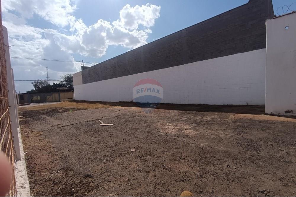 Outros - Alugar - Ribeirão Preto , São Paulo - IMG-20250812-WA0072.jpg - 780181012-753