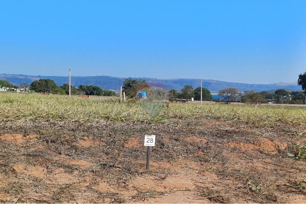 Terreno - Venda - Sacramento , Minas Gerais - IMG-20250705-WA0058.jpg - 780231022-109